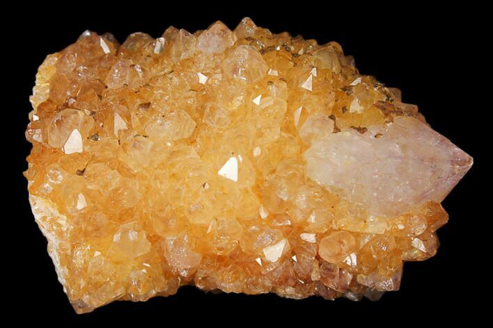 Sunshine Cactus Quartz Crystal - South Africa #122313
